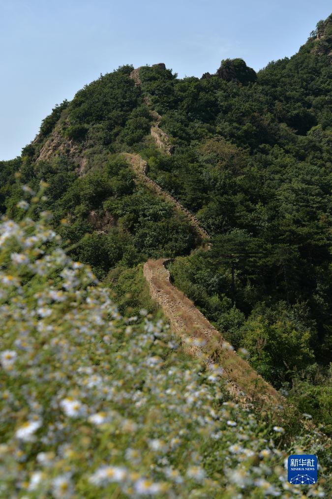 银河在线下载